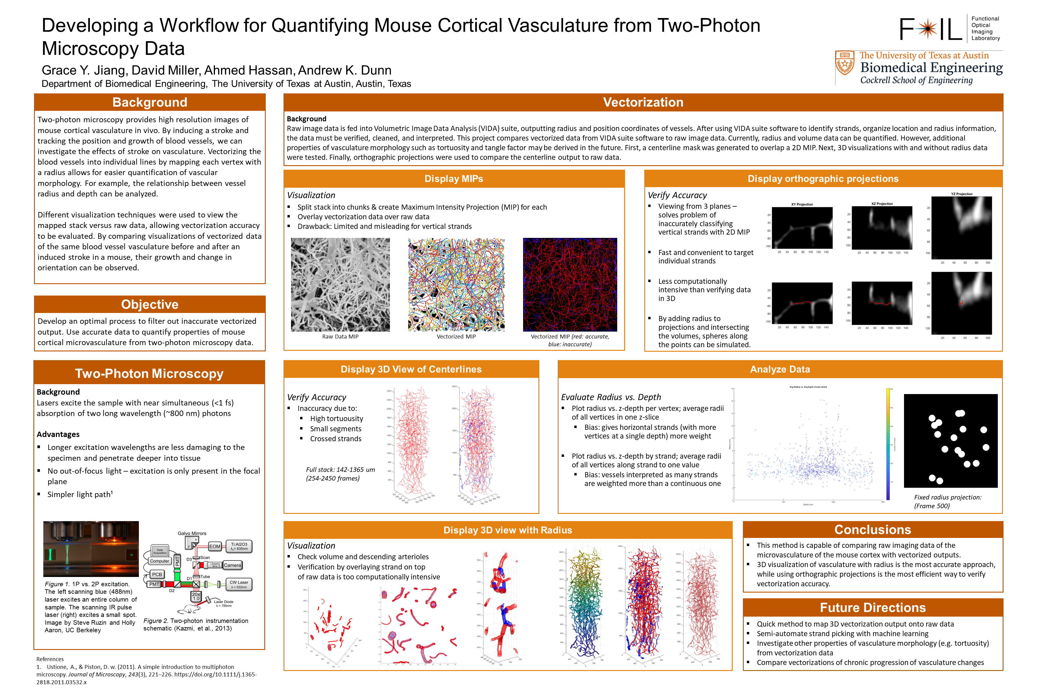 Two-photon microscopy visualization