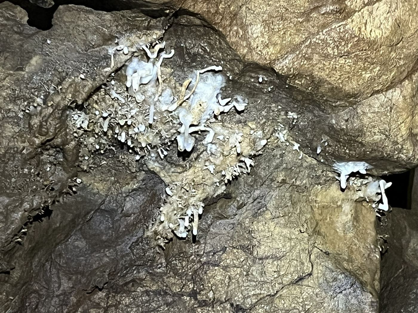 Avalanche Cave photo 3