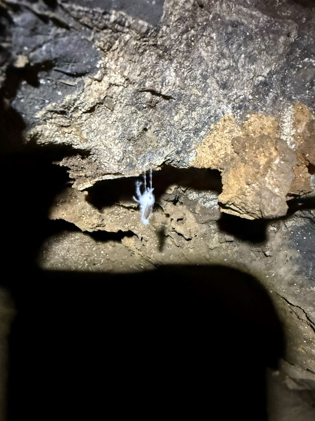 Avalanche Cave photo 7