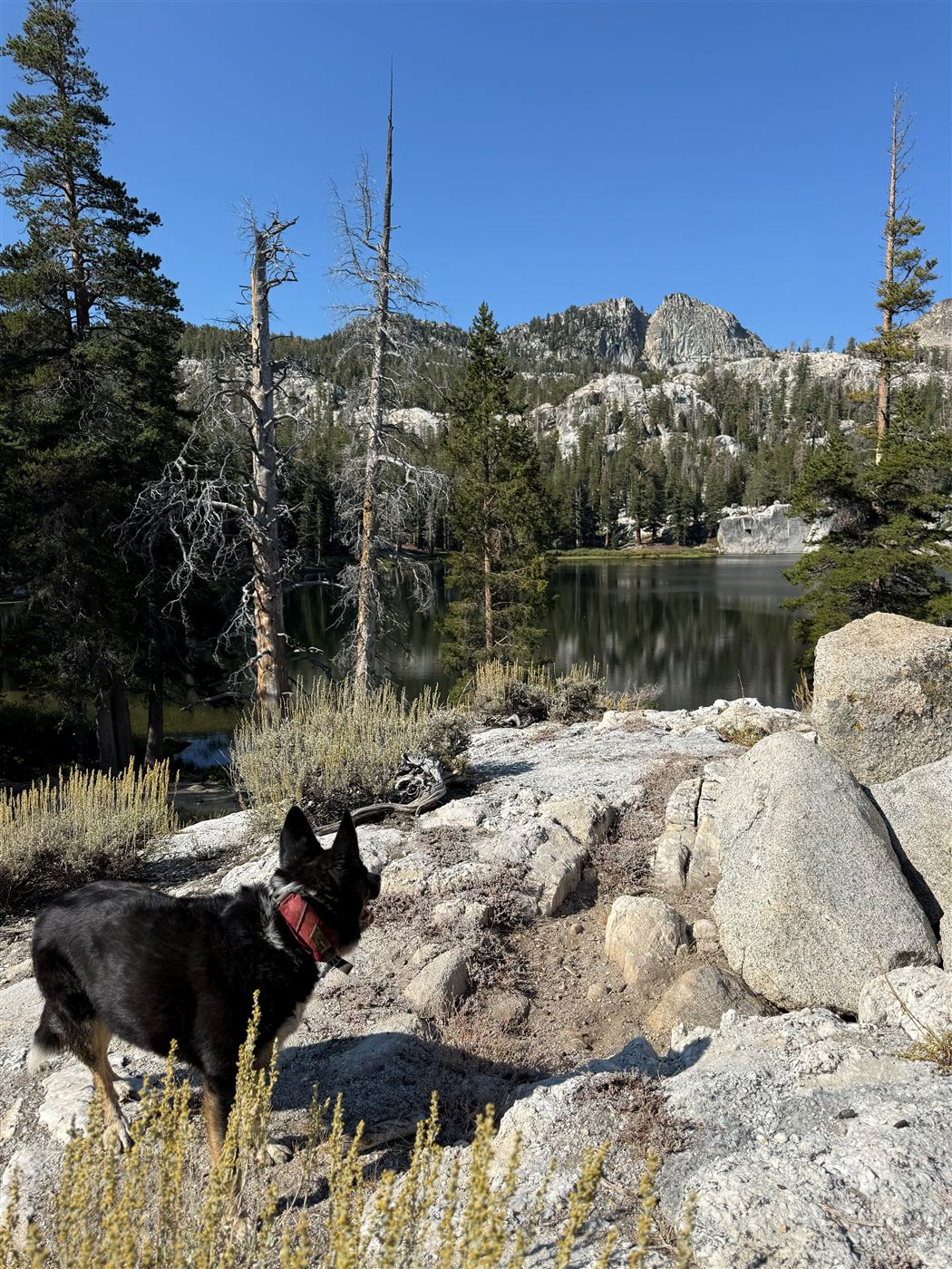 Twin Lakes trip photo 1