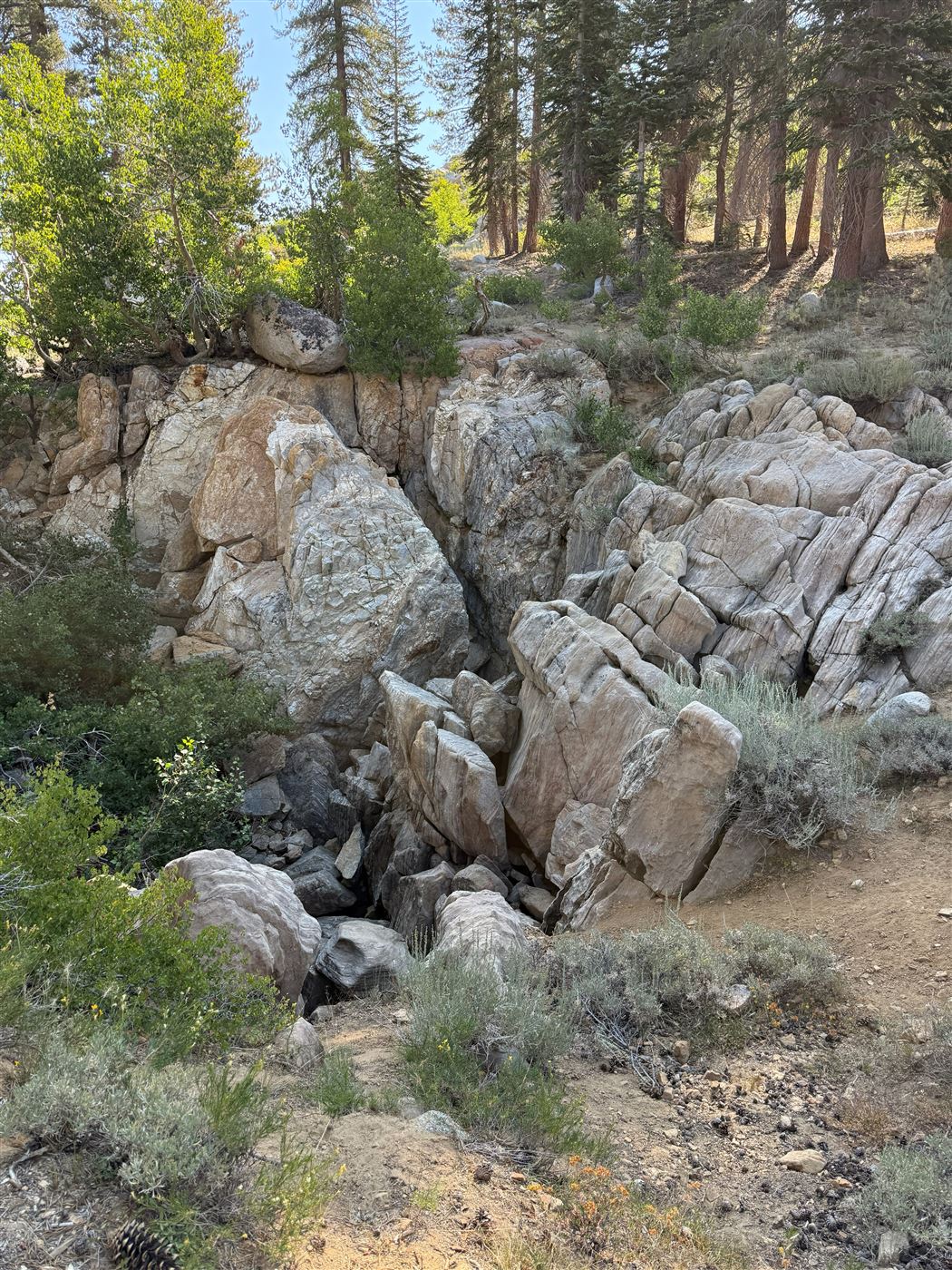 Twin Lakes trip photo 5